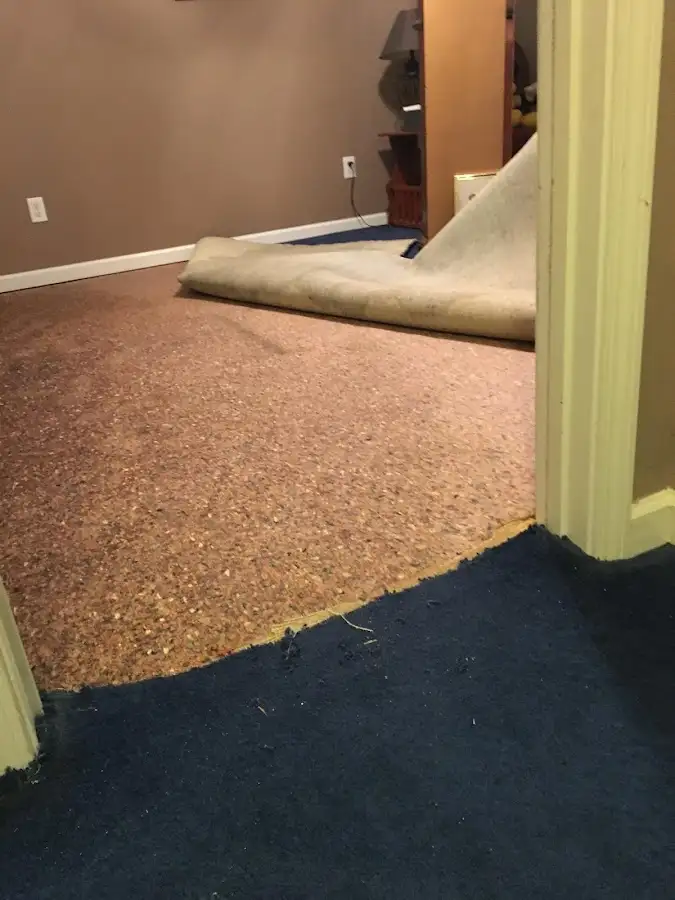 Carpet pad removal revealing water damage during Water Mitigation Services in Coral Terrace
