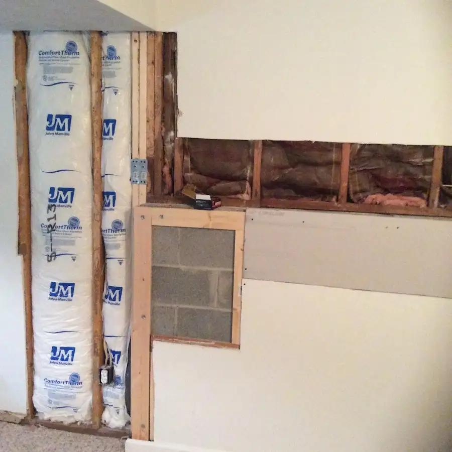 Wall insulation replacement during Odor Removal & Deodorization in Coral Terrace